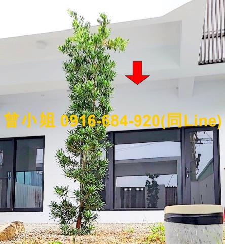 屏東潮州法拍透天-2